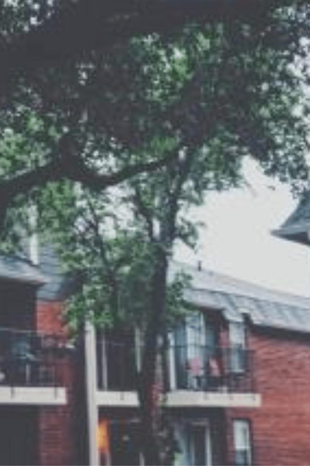 An Ode to My Apartment